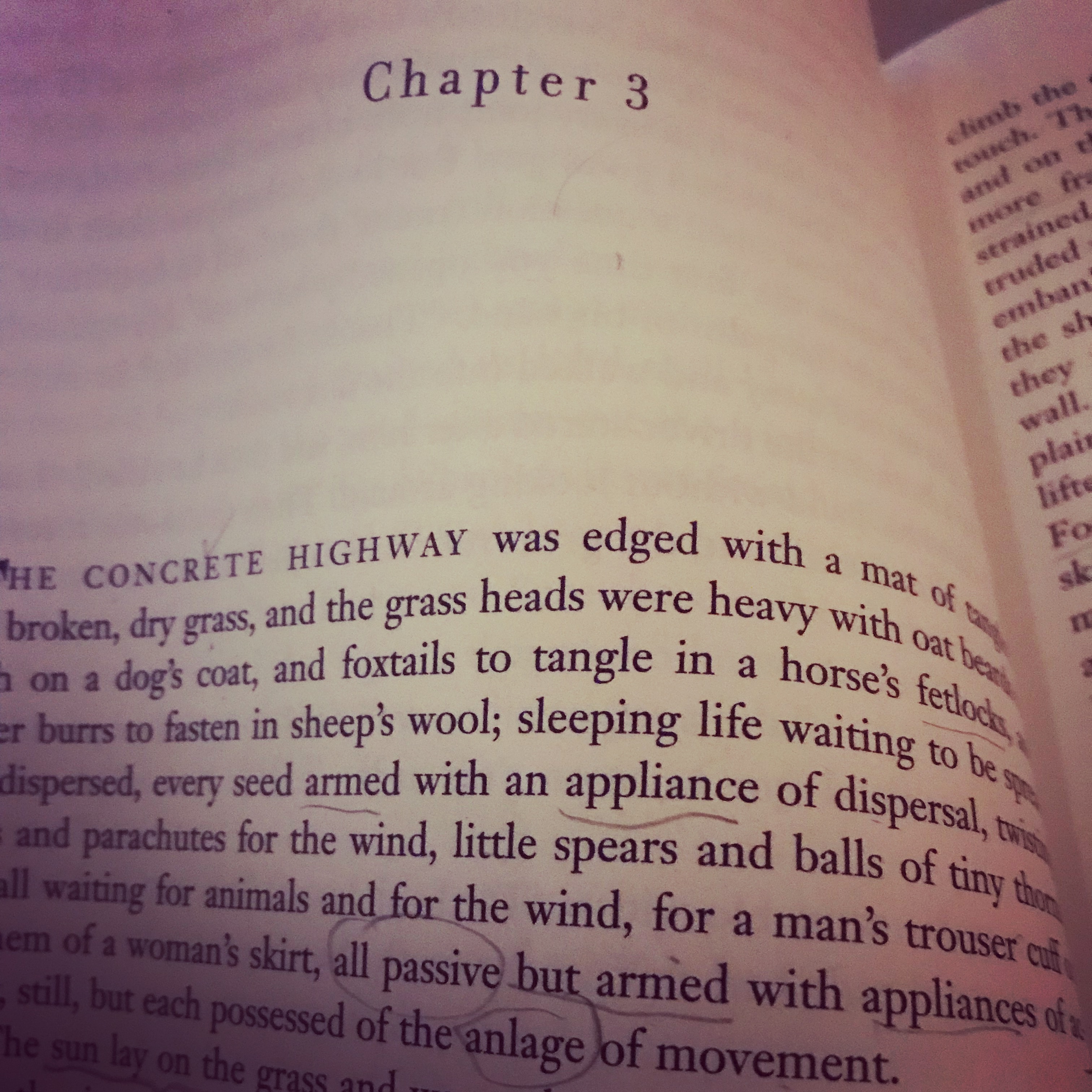 Chapter 3 (Revised) | Roger Valdez